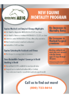 AEIG Mortality Flyer 0816