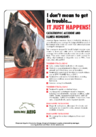 Catastrophic Accident and Illness Highlights 2014