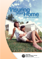 Florida Home Insurance Guide