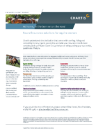 Insurance Solutions for Equine Owners