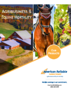 A BR 8003 0619-AG Products Booklet-small file[1]