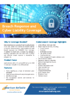 AG FL 9045 0621 – Cyber Liability