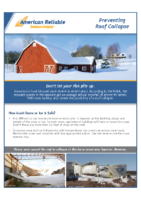 Loss Control Flyer – Preventing Roof Collapse