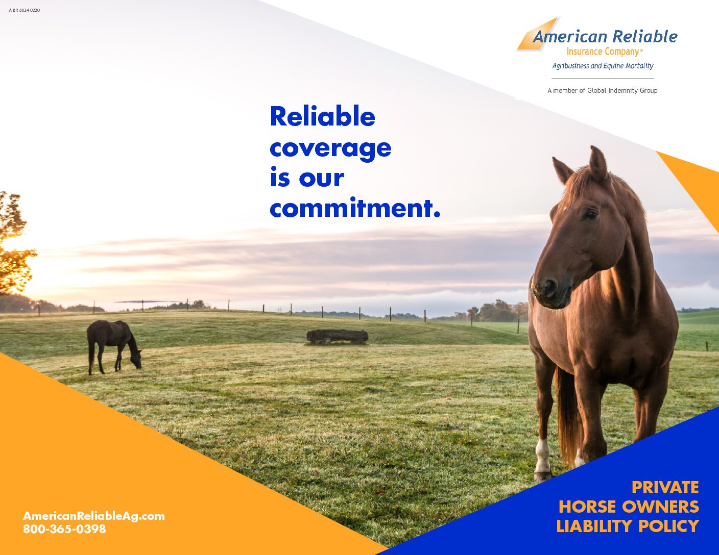 Am. Reliable – PHO Brochure